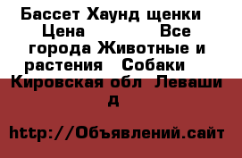 Бассет Хаунд щенки › Цена ­ 20 000 - Все города Животные и растения » Собаки   . Кировская обл.,Леваши д.